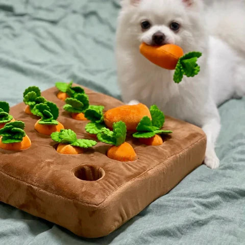 Champ à renifler - Jouet interactif pour animaux