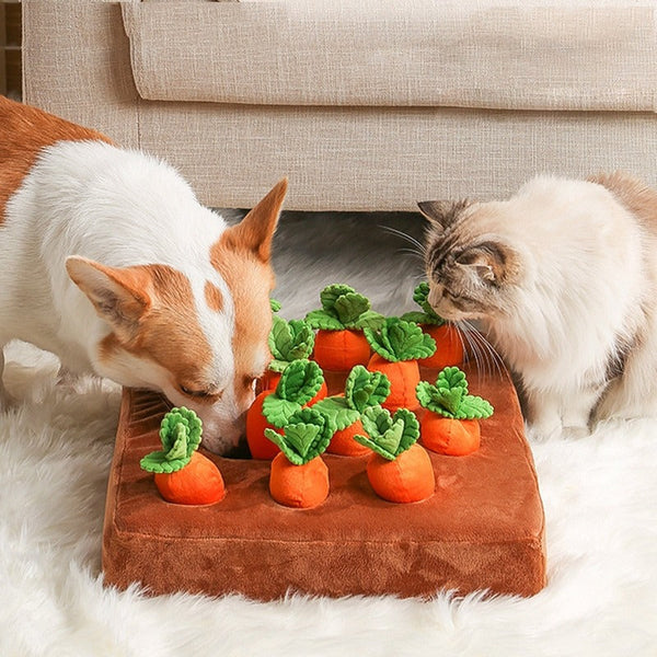 Champ à renifler - Jouet interactif pour animaux